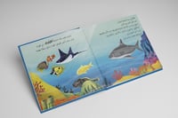 حين يشارك القرش