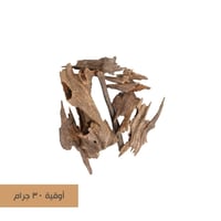 عود ناجلاند