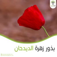 بذور الديدحان