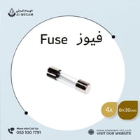 فيوز بمقاسات متنوع 25 قطع / FUSES 25 PCS