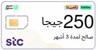 شريحة بيانات 250 جيجا | 3 أشهر STC