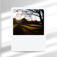 فلاتر لايت روم