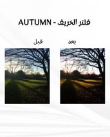 فلاتر لايت روم