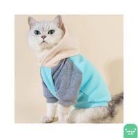 بلوفر قطط مقاس L