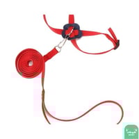 ليش قابل للتعديل للطيور من حبل التدريب في الهواء ا...