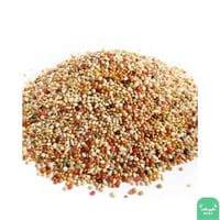 طعام للبادجي ( طيور الحب ) 1 كيلو