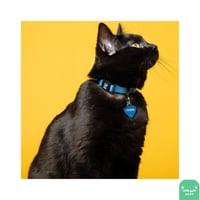 قلادة My Family (5) بعدة الوان