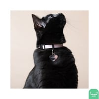 قلادة My Family (4) بعدة الوان