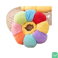 طوق جراحة للقطط