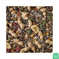 طعام ببغاء مشكل كبير 1 كيلو