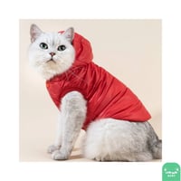 جاكيت قطط مقاس M