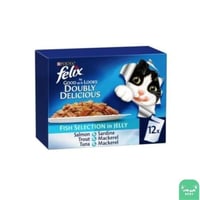 فليكس سردين في الهلام