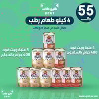 بكج ويت فود 4 كيلو معلبات لينسن