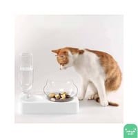 صحن للأكل مع مشربية