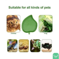 صحن للزواحف