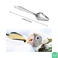 ملعقة غر الطيور