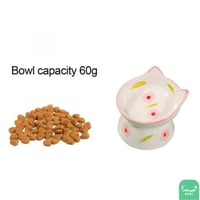 صحن سيراميك