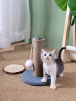 خداشة صغيرة للقطط