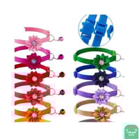 طوق قطط بعدة الوان