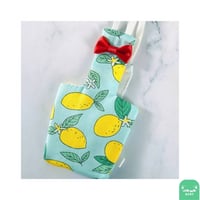 لبس حفاظة طيور