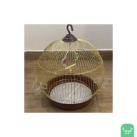 قفص طيور ذهبي