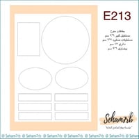 E213