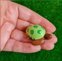 سيلكون سلحفاة