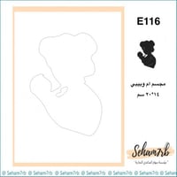 E116