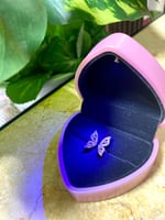 علبة كيتي المضيئة