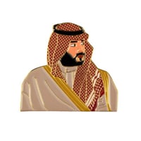 PINS عراب الرؤية الأمير محمد بن سلمان