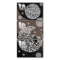 ثلاث لوحات جدارية مع برواز واكريلك شفاف