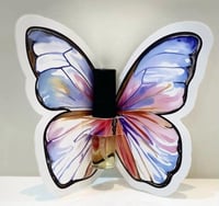 توزيعات فراشة