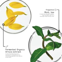 مجموعة العناية بالشعر فيلر مورفوسيس 100 مل