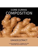 شامبو وقناع للشعر من سادور الزنجبيل 500 مل