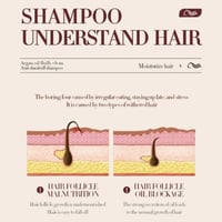 شامبو الارجان مرطب ومضاد للقشره والحكة 500مل