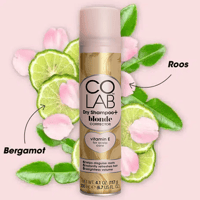 شامبو جاف كو لاب بلوند كوريكاتور جاف 200 مل