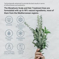 مجموعة العناية بالشعر فيلر مورفوسيس 100 مل