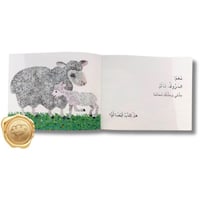 هل للكنغر أيضا أم؟