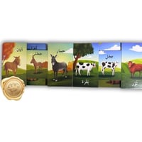 افتح و اكتشف (الحيوانات و صغارها)