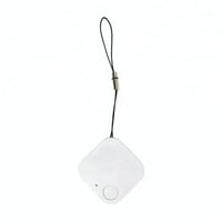 قطعة التتبع (عشرين متر) - حبة وحدة