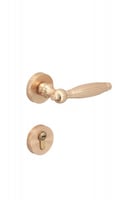 يد باب مفصول ذهبي 120022-2