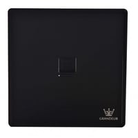 فيش كمبيوتر اسود V90