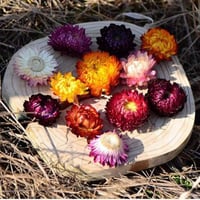 ورد مجفف مشكل 20 غرام