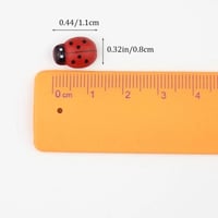 زينة دعسوقة - 2