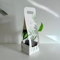 حامل ورقي B - فارغ