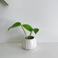 1 توزيعات بوتس مائي - سيراميك