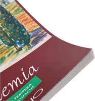 فبريانو دفتر رسم اكاديميا A3 ، دفتر رسم من 30 ورقة...