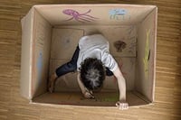 ستابيلو وودي 3 في 1 - مجموعة من 6 ألوان مع براية