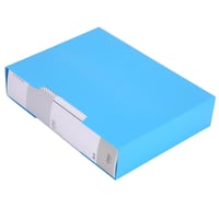 ديلي ملف جيوب 100 جيب A4 - الوان متنوعة