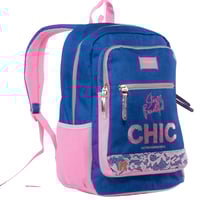 بوز شنطة ظهر أنيقة للطلاب مقاس 17.5 بوصة ، جيب رئي...